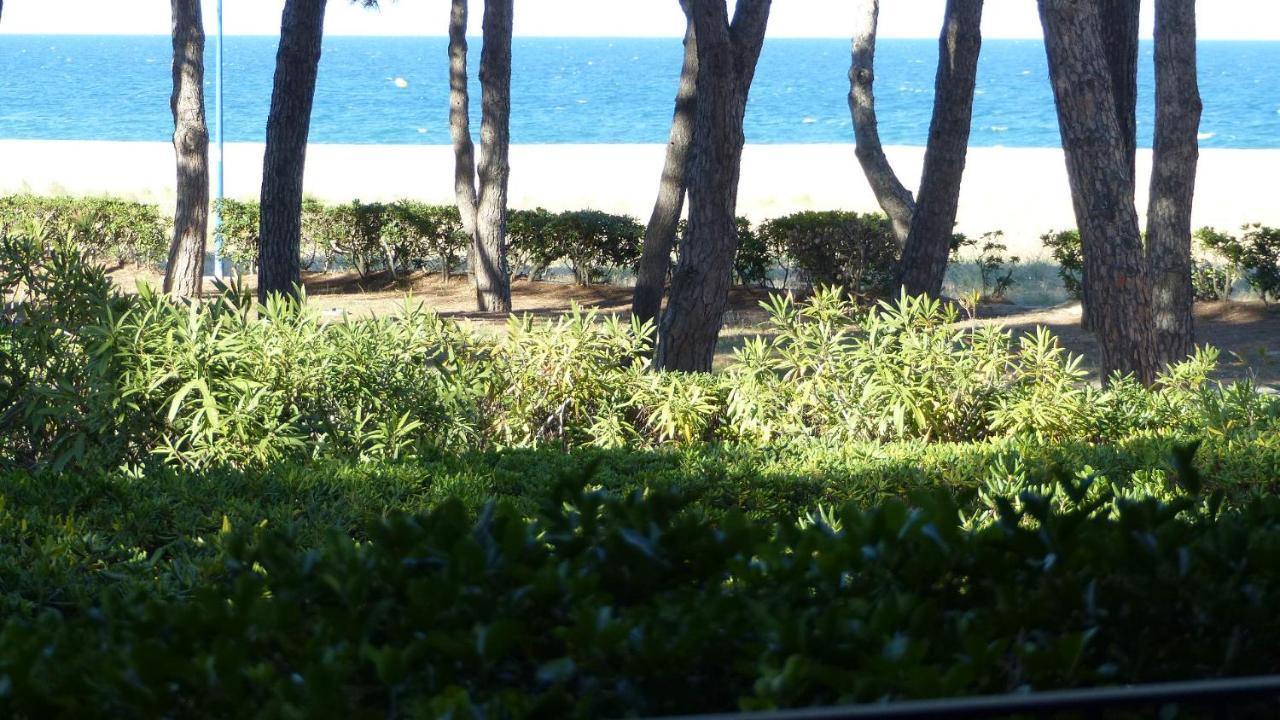 Belle Vue Au Calme Sur La Plage 滨海阿热莱斯 外观 照片